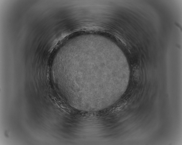 X0000097811016200804041331