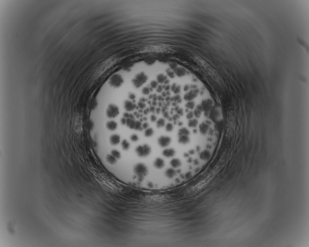 X0000097811017200804041331