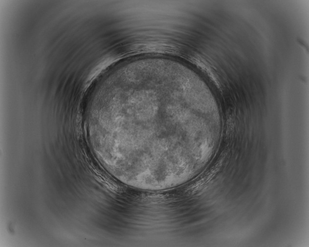 X0000097811019200804041331