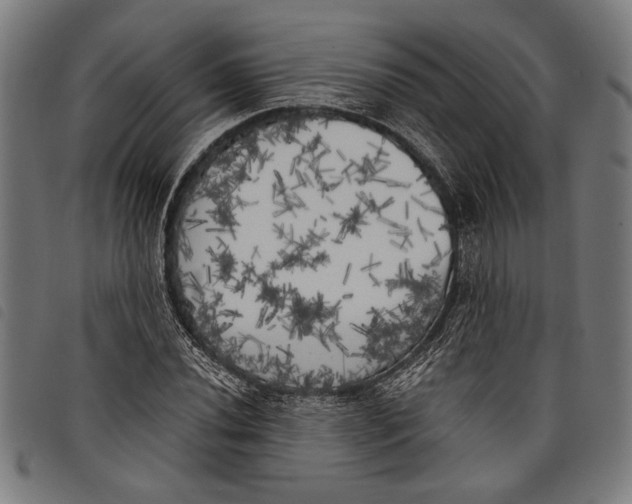 X0000097811020200804041332