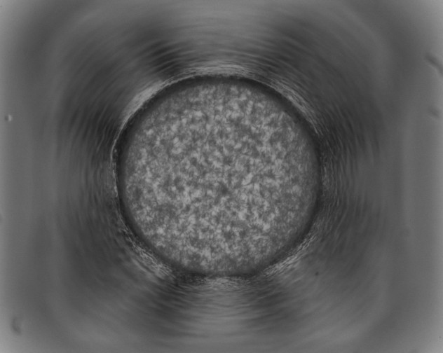 X0000097811022200804041332