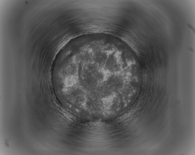 X0000097811023200804041332