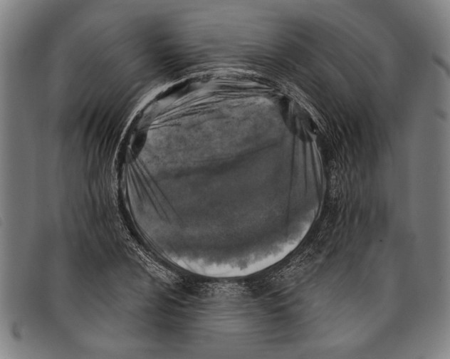 X0000097811024200804041332