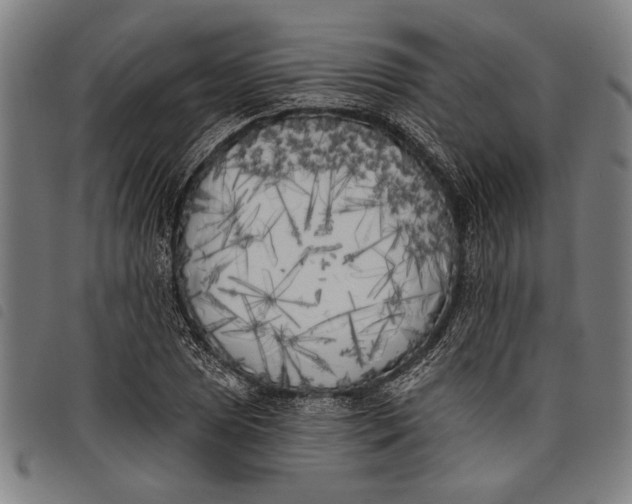 X0000097811025200804041332