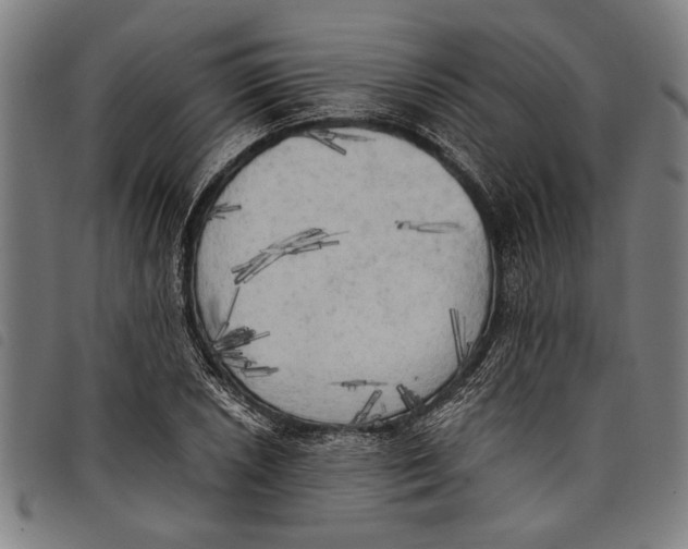 X0000097811026200804041332