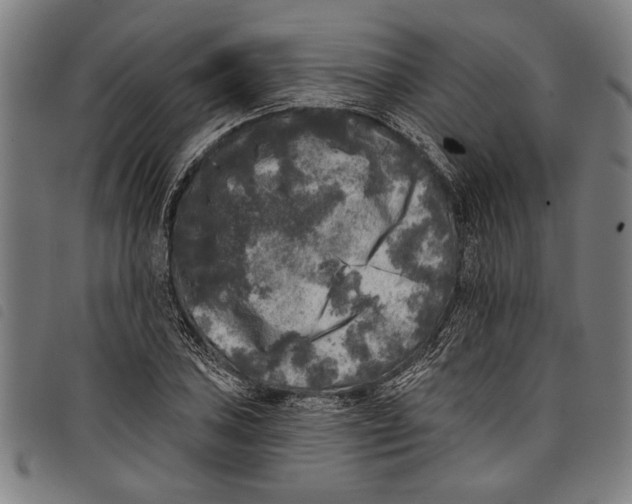 X0000097811027200804041332