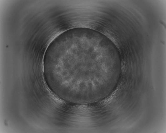 X0000097811028200804041332