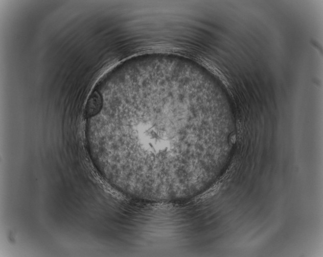 X0000097811029200804041332