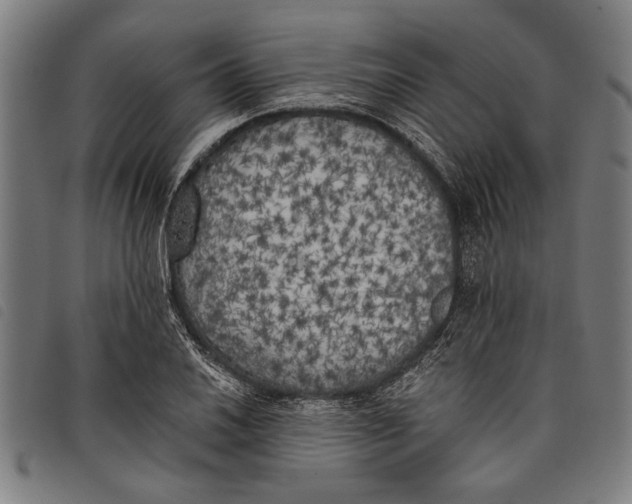 X0000097811030200804041332