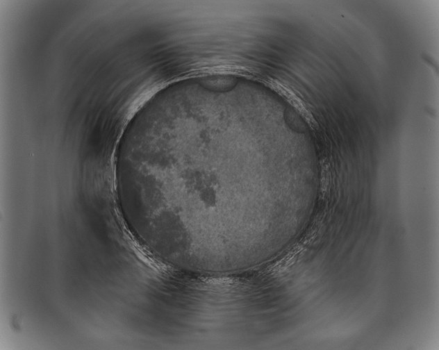 X0000097811031200804041332