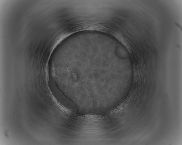 X0000097811032200804041332