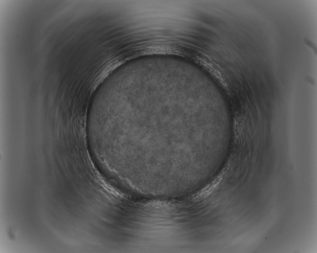 X0000097811033200804041332