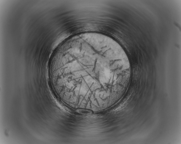 X0000097811034200804041332