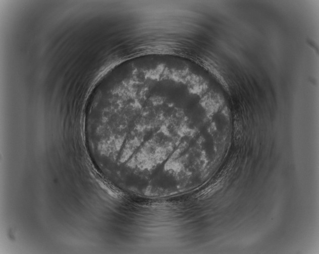 X0000097811035200804041332