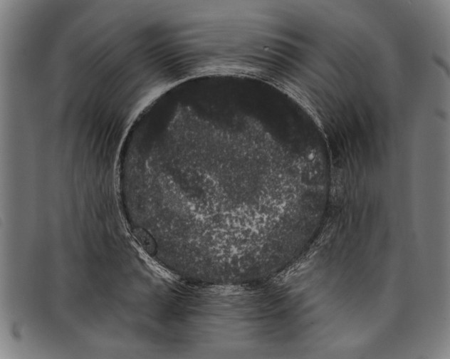 X0000097811037200804041332