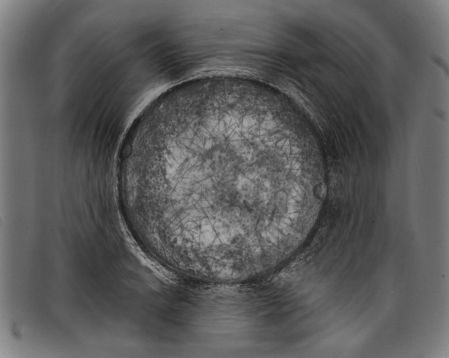 X0000097811038200804041332