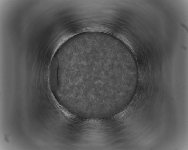 X0000097811040200804041332