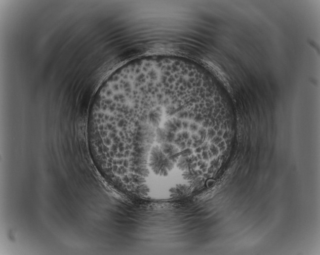 X0000097811041200804041332