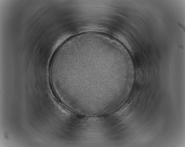 X0000097811043200804041332