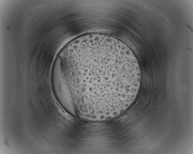 X0000097811044200804041332