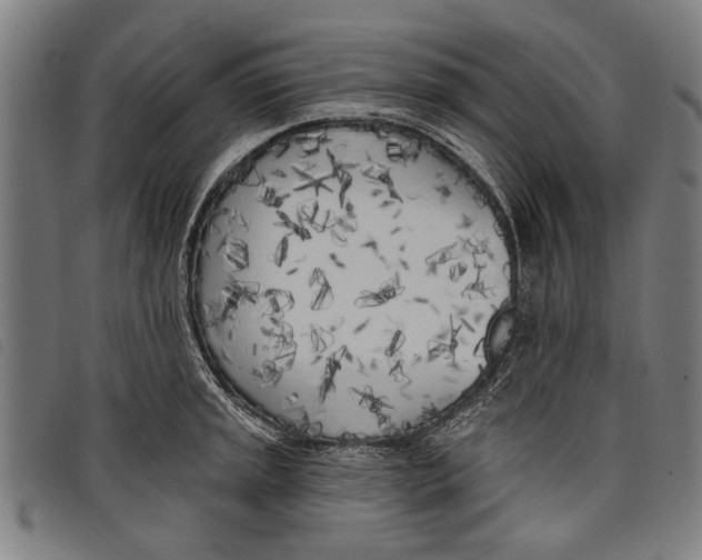 X0000097811045200804041332