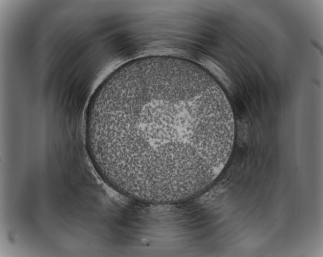 X0000097811046200804041332