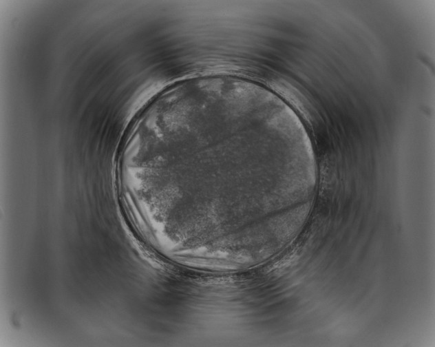 X0000097811047200804041332