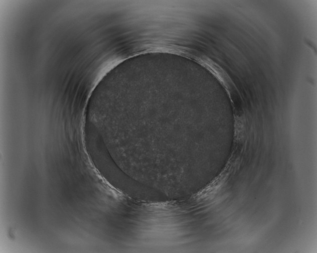 X0000097811048200804041332