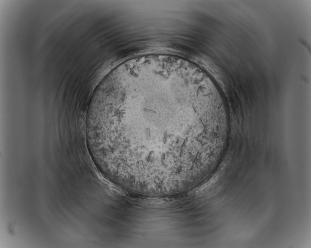 X0000097811049200804041332