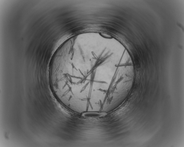 X0000097811050200804041332