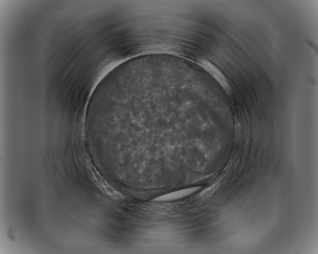 X0000097811052200804041332