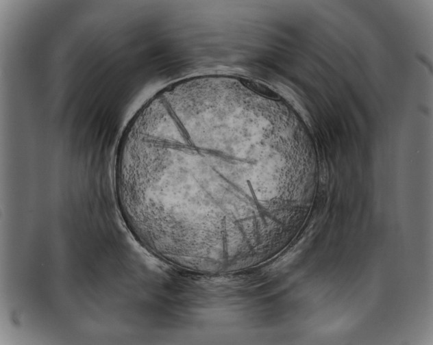 X0000097811054200804041332