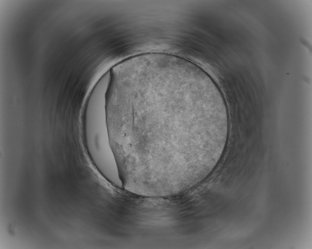 X0000097811056200804041332