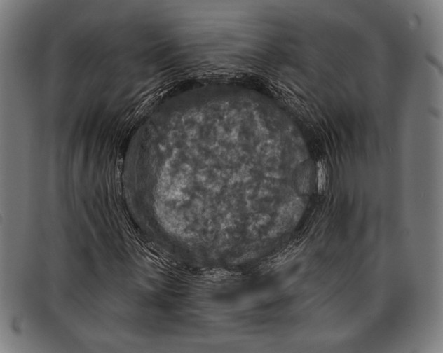 X0000097811059200804041331