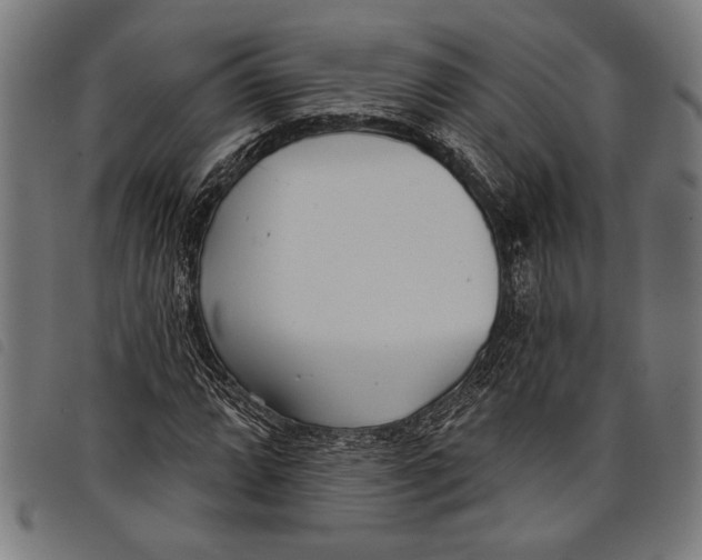 X0000097811064200804041331