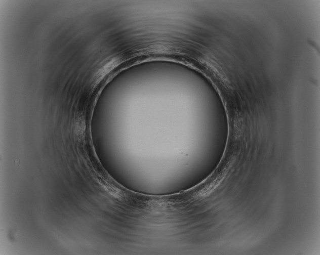 X0000097811065200804041331