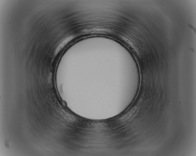 X0000097811066200804041331