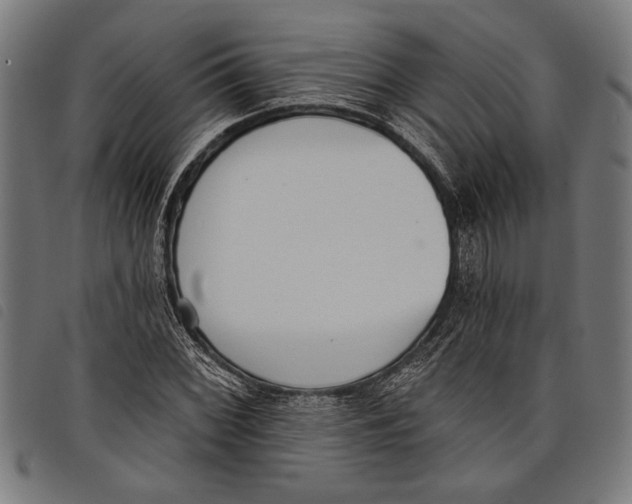 X0000097811068200804041331