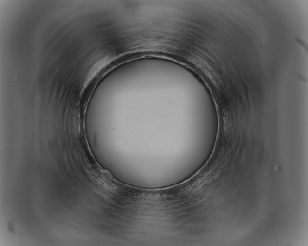 X0000097811069200804041331