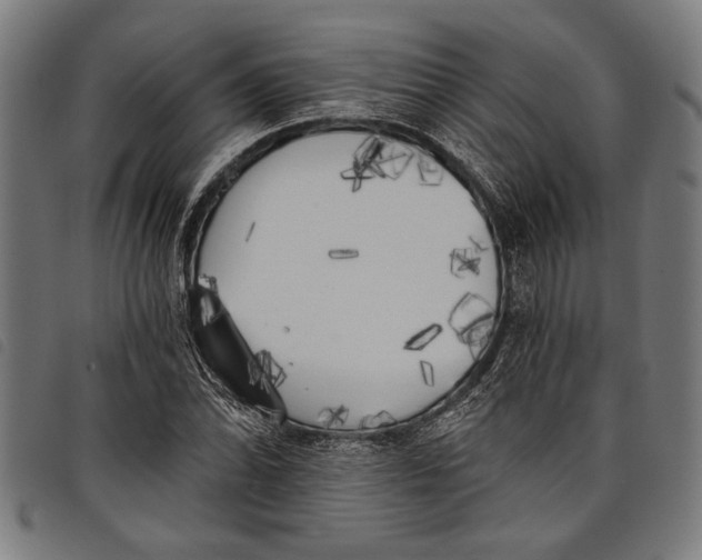 X0000097811070200804041331