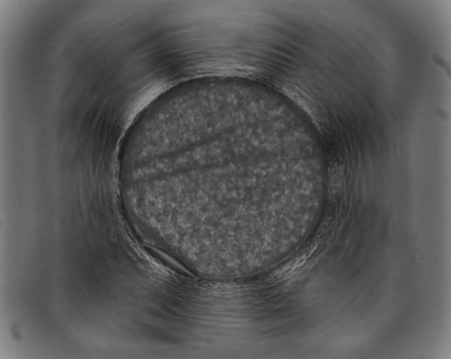 X0000097811071200804041331