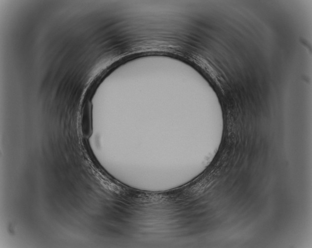 X0000097811072200804041331