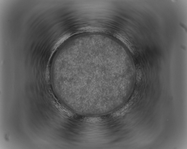 X0000097811074200804041331