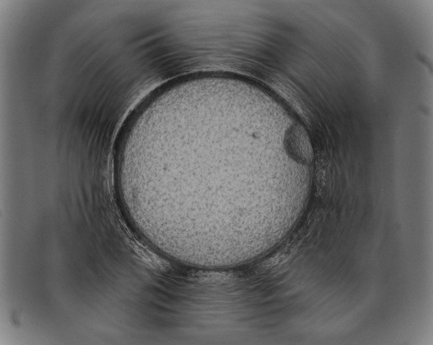 X0000097811076200804041331