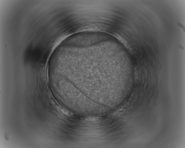 X0000097811078200804041331