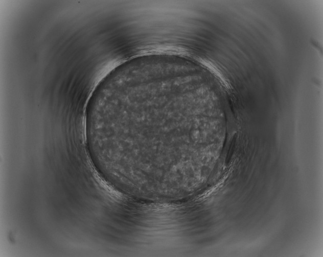 X0000097811079200804041331