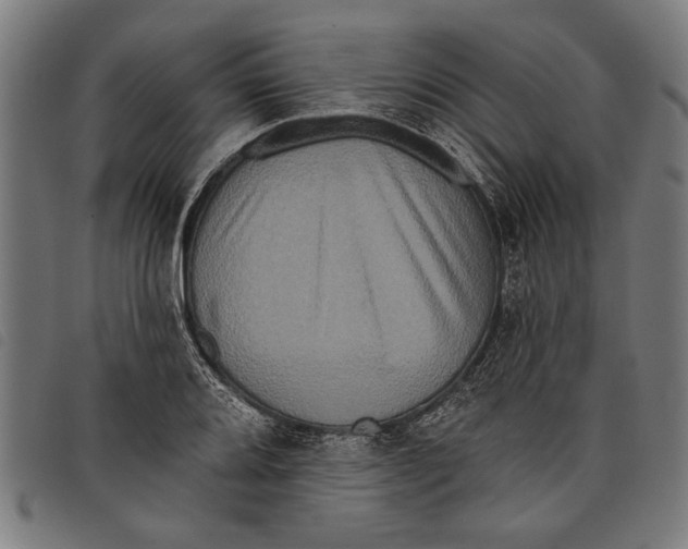 X0000097811080200804041331