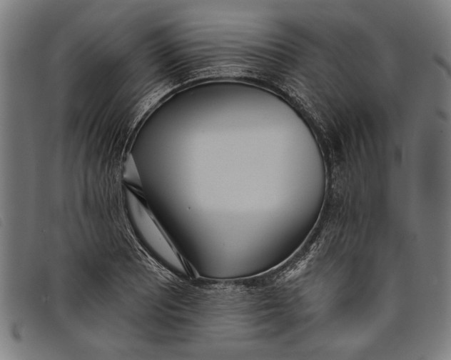 X0000097811081200804041331