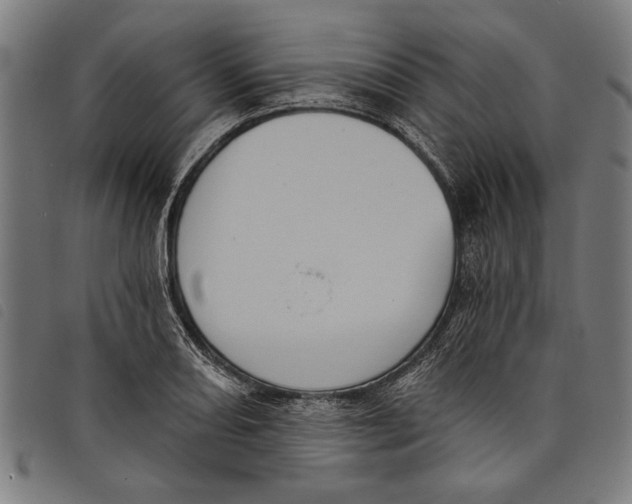 X0000097811082200804041331