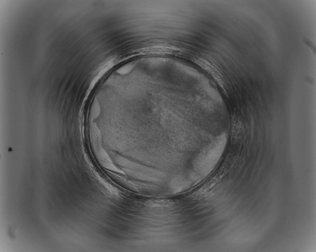 X0000097811083200804041331